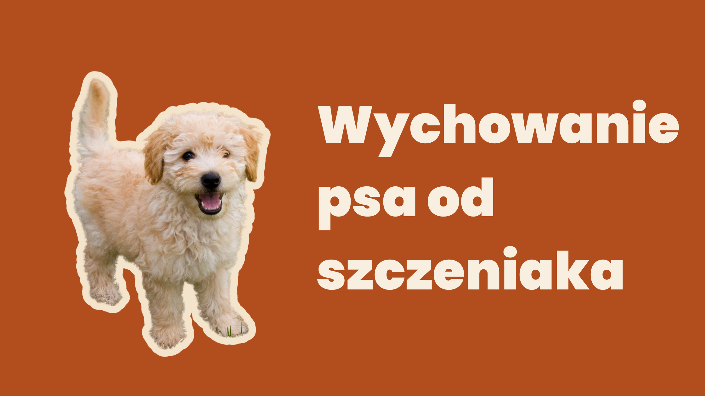 Wychowanie psa od szczeniaka